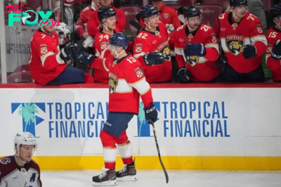 Florida Panthers vs. Washington Capitals odds, tips and betting trends - November 25, 2024