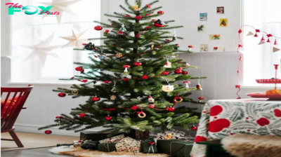 Where to Buy the Best Christmas Tree in Hong Kong for a Sparkling Celebration