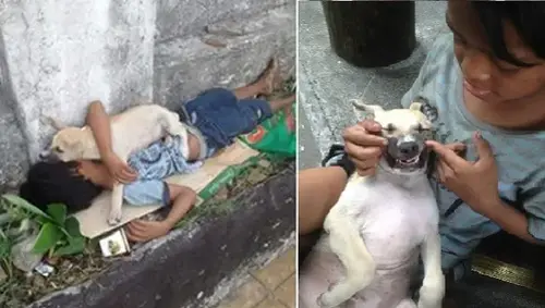 Desperate Homeless Boy Rescues A Street Pup, Unaware That The Dog Will Repay The Favour In A Emotional Way