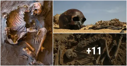 Archaeologists have discovered a huge skeleto in the Sahara Desert!