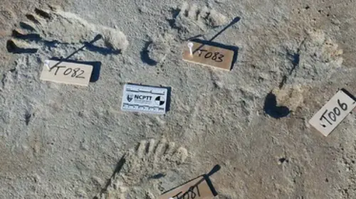 The Finding Of The Oldest Human Footprints In North America Excited Researchers