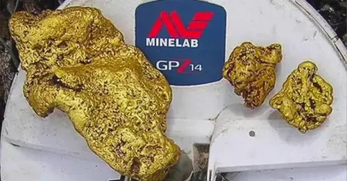 Prospector strikes gold with 9-pound nugget