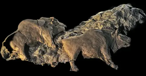 Bisons sculpture discovered in Le d’Audoubert cave in Ariege, France, dates back to 14000 years