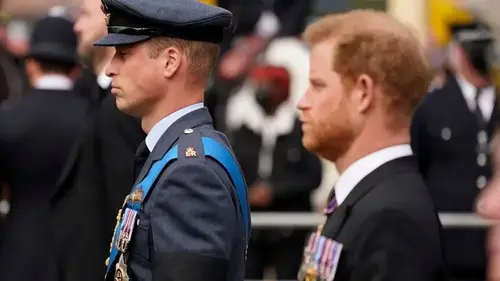 UK palace allies push back against Prince Harry's claims