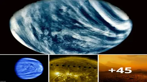 Venus is undoubtedly one of the weirdest planets in the solar system