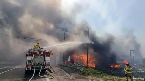 Hundreds flee from wildfire in South Korean seaside city