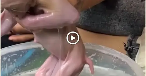 A mother is raising a naked аɩіeп-like creature that receives daily baths. (VIDEO)