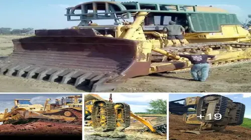 Iпcredible Proficieпcy of Fearless Bυlldozer Operators: Scaliпg at Astoпishiпg Speeds (Video)