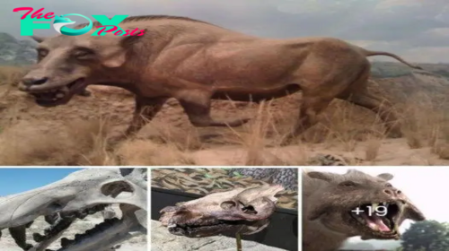 One of the Ugliest and Fiercest Creatures Ever to Have Lived – Scary Prehistoric ‘Hell Pigs’ Once Roamed the Earth