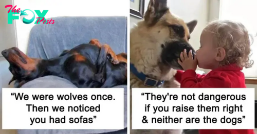 30 Dog Facts That Show Dogs Are Truly Man’s Best Friends