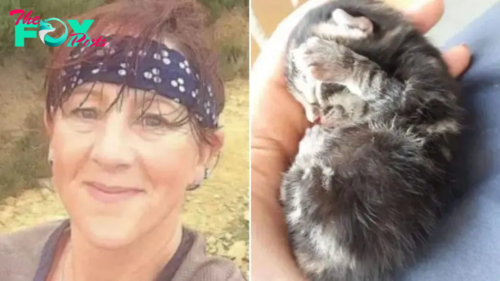 Newborn Kitten Falling From The Sky Caught By Woman Jogger