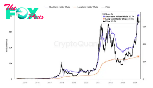 Bitcoin Rebounds After Nearing Cost Basis Of Short-Term Whales 