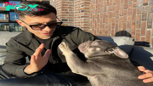 th.Lisandro Martínez isn’t just a dog; he’s a social media superstar with 20,000 loyal followers, showcasing the profound impact our four-legged friends can have in the digital age.