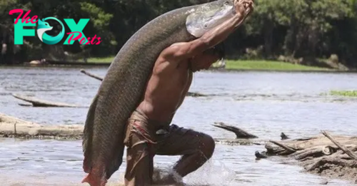 LS ”Arapaima gigas, among the largest freshwater fish”