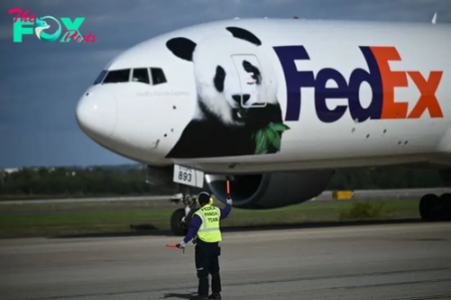 Pandas Arrive in the U.S. Next Stop Is the National Zoo