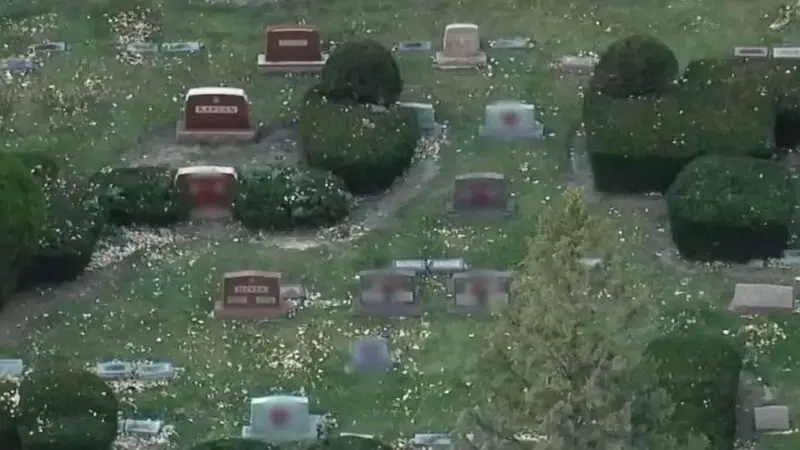 Dozens of graves in Jewish cemetery defaced with swastikas, offensive graffiti