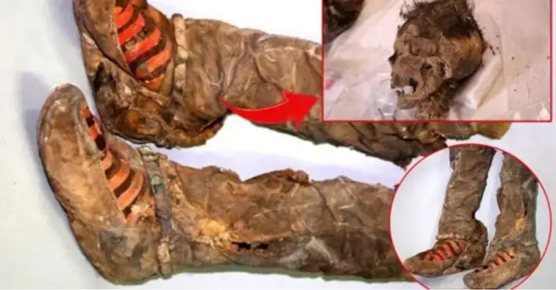 The mystery surrounding the historic object “With 1,100-year-old Adidas shoes” has been solved