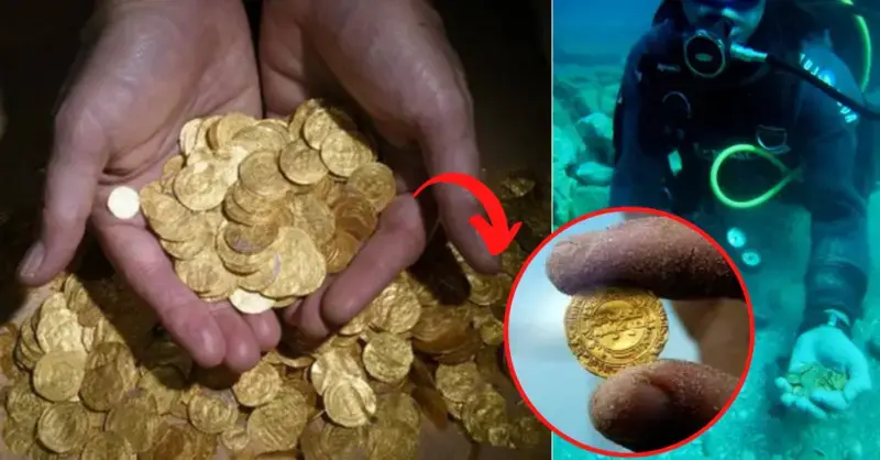 Israel’s largest-ever gold currency hoard is uncovered by divers