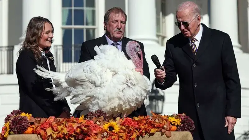 Biden pardons turkeys in White House Thanksgiving tradition, makes 'red wave' joke