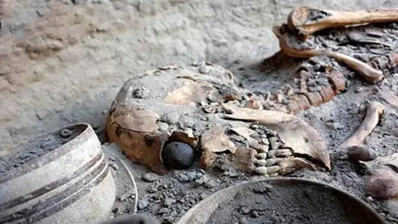World’s Oldest Fake Eye from 2800 BC Found in Iran’s ‘Burnt City’