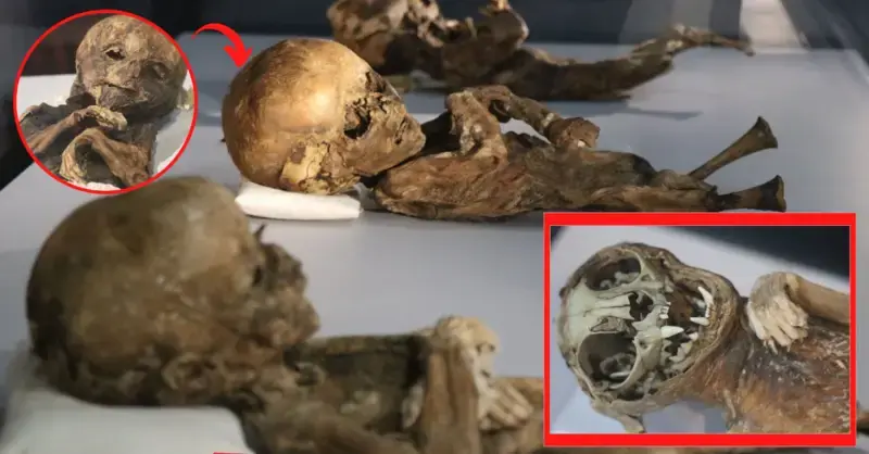 Mummies dating back to 1000 years are on display in Turkey’s Aksaray Museum