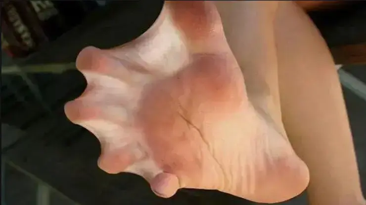 Scientists Have Just Found Out That Aliens Have Fishbeard Feet