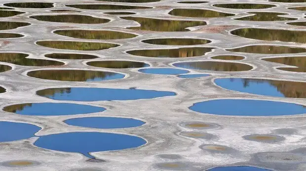 Canada's "Polka Dot" Lake Has The Ability To Heal Many Diseases: Scientist Has Proven