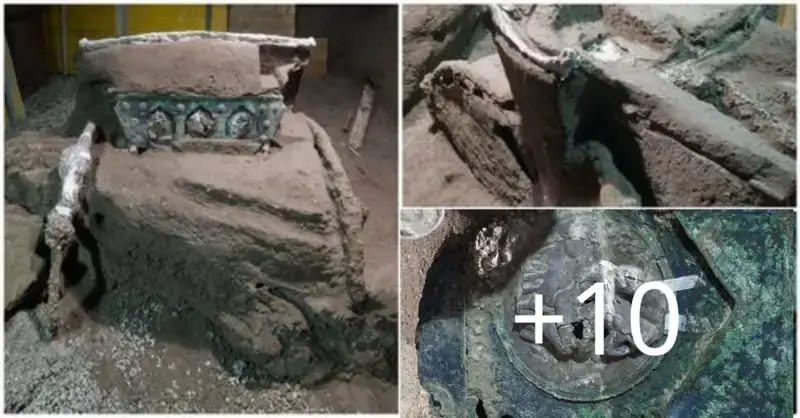 Awestruck by a Roman ritual chariot that was buried in a volcanic eruption 2000 years ago