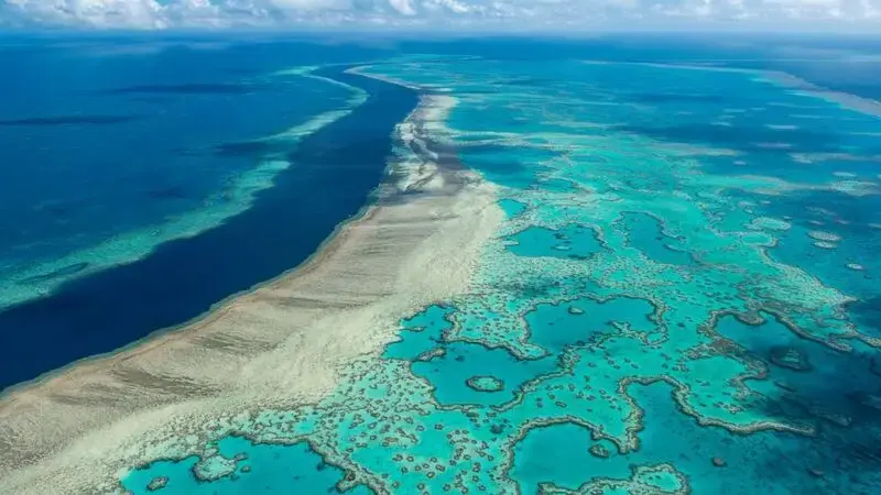 UN: Great Barrier Reef should be on heritage 'danger' list