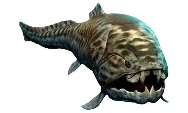 Discovered A "Killer" Fish That Can Easily Bite The Body Of A Great White Shark In Half