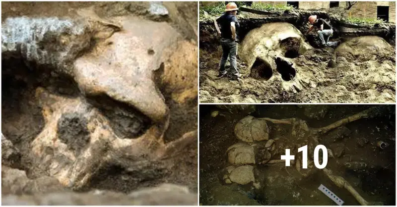 Ancient Giants are hibernating in underground chambers, claims a popularizer