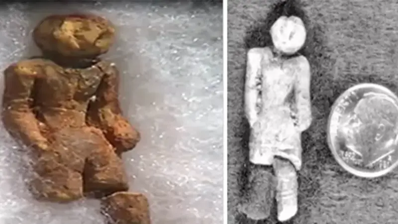 This 2-Million-Year-Old Strange Doll Was Discovered In Tampa, Idaho