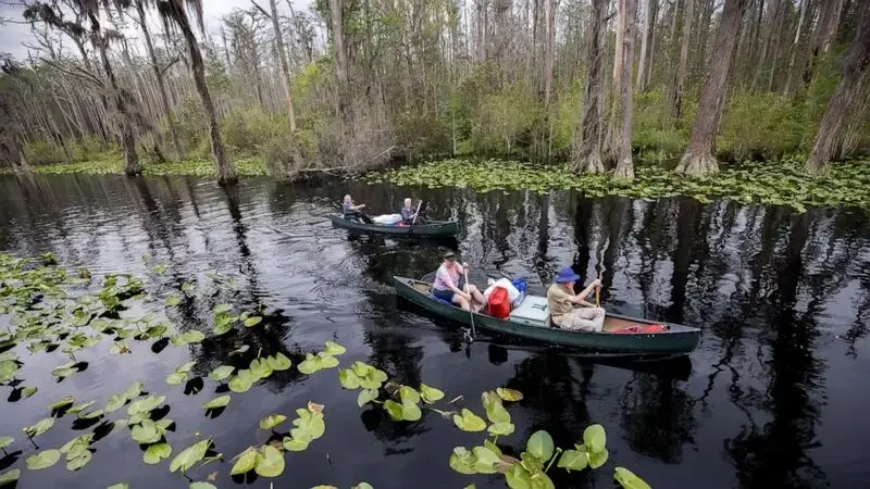 Interior secretary: `Unacceptable' to mine near famed swamp