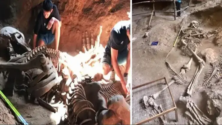 Ancient Giant Skeletons Of A Human And A Snake Are Discovered In A Cave In Thailand