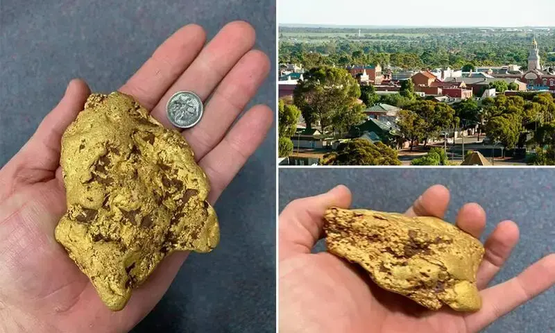 Striking gold! Lucky prospector unearths a ‘monster’ 1.4kg nugget worth up to $100,000