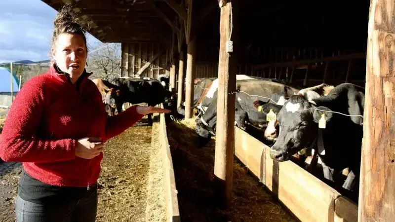 Organic livestock farmers, hit by rising prices, seek help