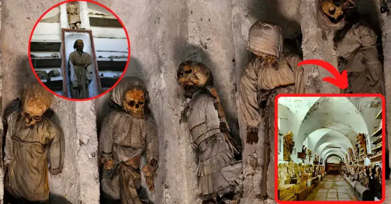 “Uncover the mystery” of the most well-known Mummy in the Capuchin Catacombs of Palermo