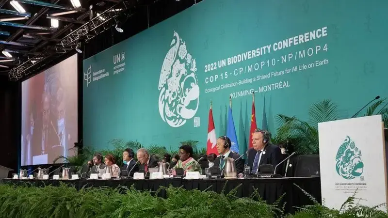 Historic biodiversity agreement reached at U.N. conference