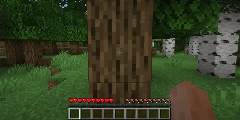 Minecraft Players In Shock At Sinful Way This Person Cuts Trees