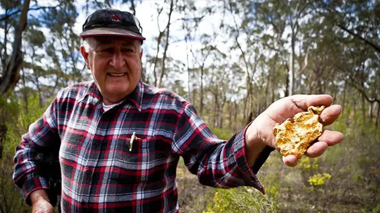 Wedderburn heart of gold find leaves owner anxious