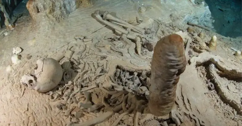 Ancient Giant Skeletons Of A Human And A Snake Discovered In A Cave In Thailand