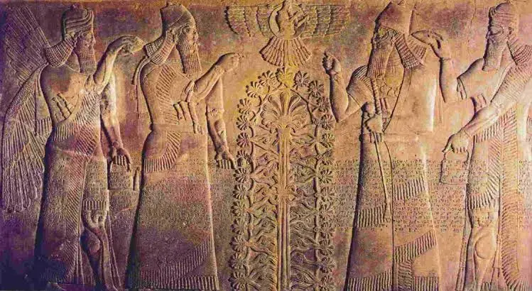 Is it true that the Anunnaki mutilated the earthlings?