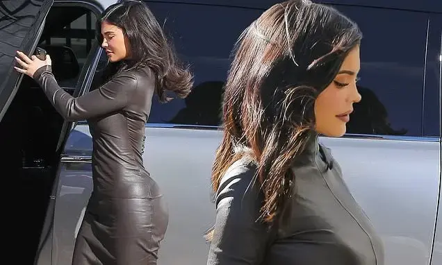 Kylie Jenner Flaunts Her Curves See-Through Pumps and Bodycon Dress