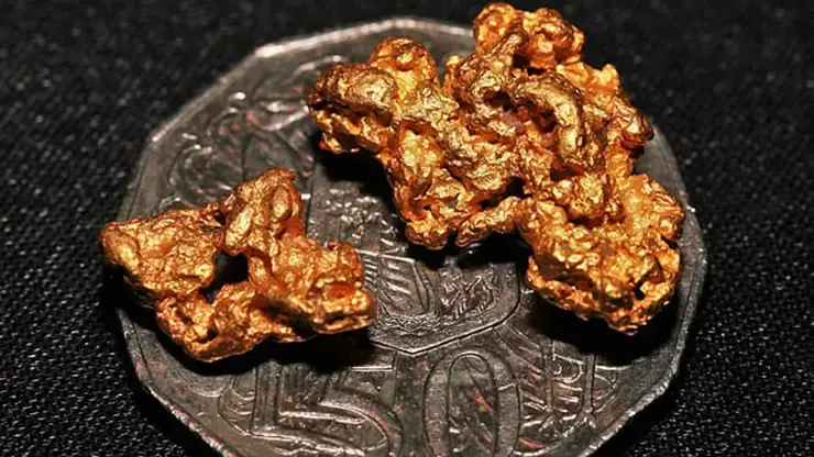 Australian man shows off two gold nuggets he found while fossicking – and reveals their VERY impressive value