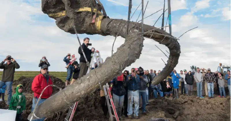 A Woolly Mammoth in a Michigan Farmer’s Field