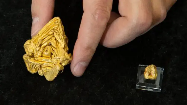 The $1.5m golden nugget: World’s largest single crystal of gold discovered