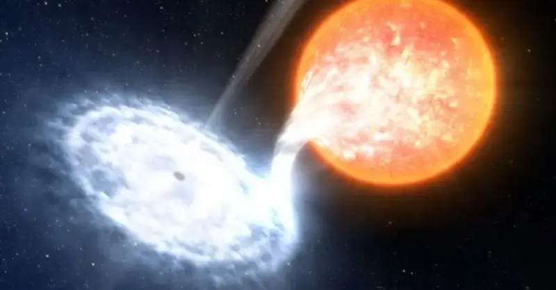 Big gulp! 2 black holes swallow neutron stars