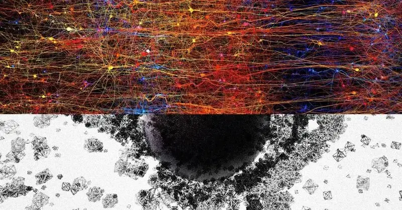 Ground-Breaking Research Finds 11 Multidimensional Universe Inside the Human Brain
