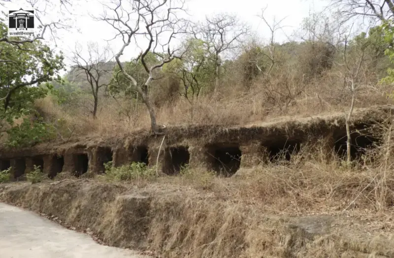 An Indian Tiger Reserve Has Located Over 20 Old Buddhist Temples and Murals