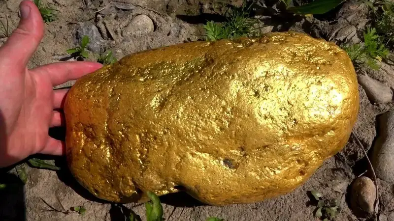 Family literally stumble upon a gold nugget worth $37,000 during a Mother’s Day stroll – and they’re going back to look for more